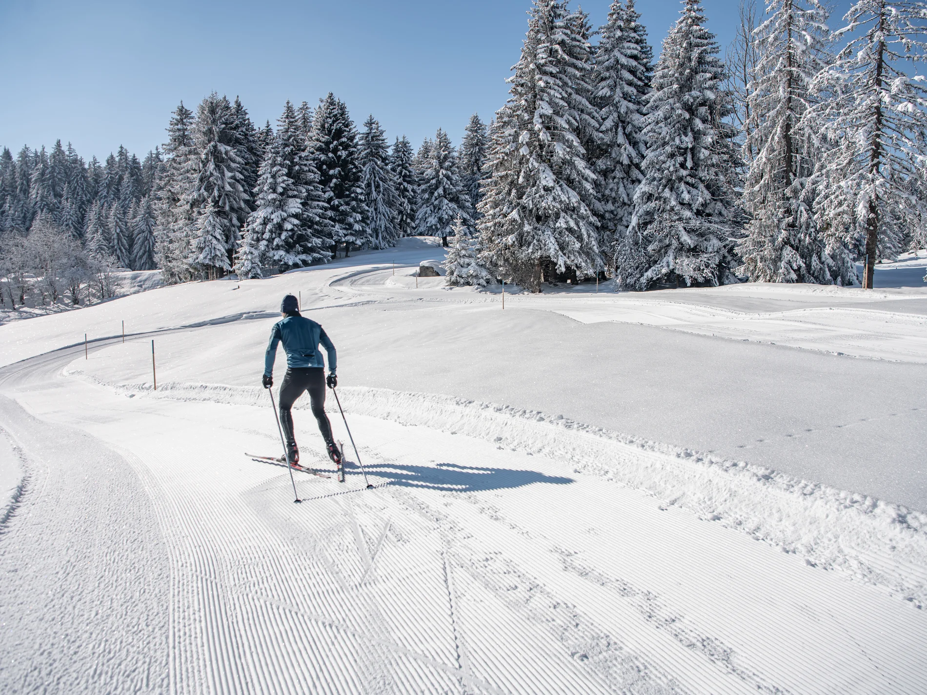 Langläufer auf präparierter Spur im verschneiten Wald bei klarem Himmel