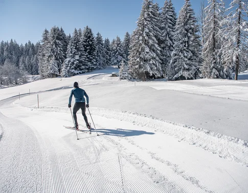 Langläufer auf präparierter Spur im verschneiten Wald bei klarem Himmel