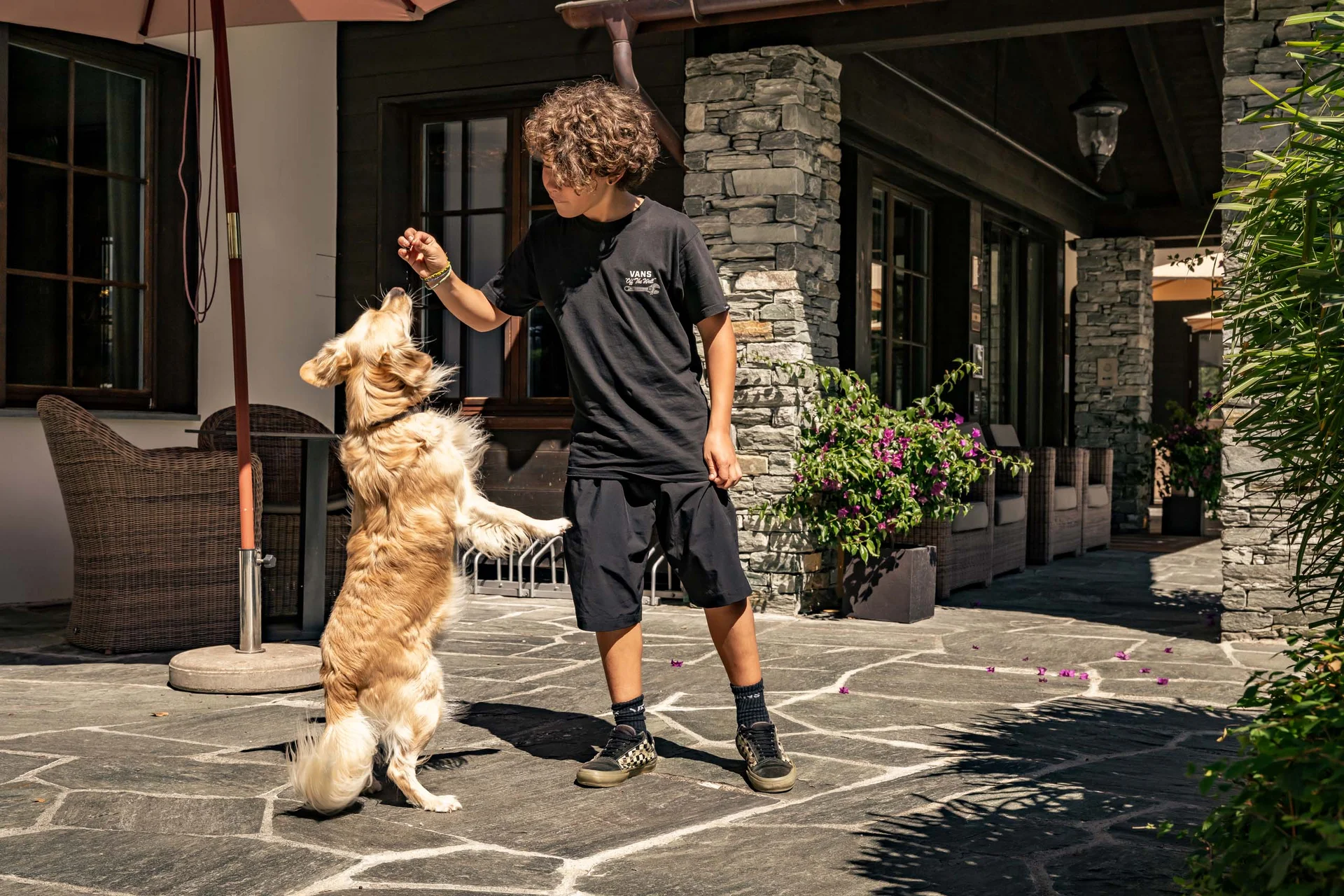 Kind füttert stehenden Hund vor Haus mit Steinmauer