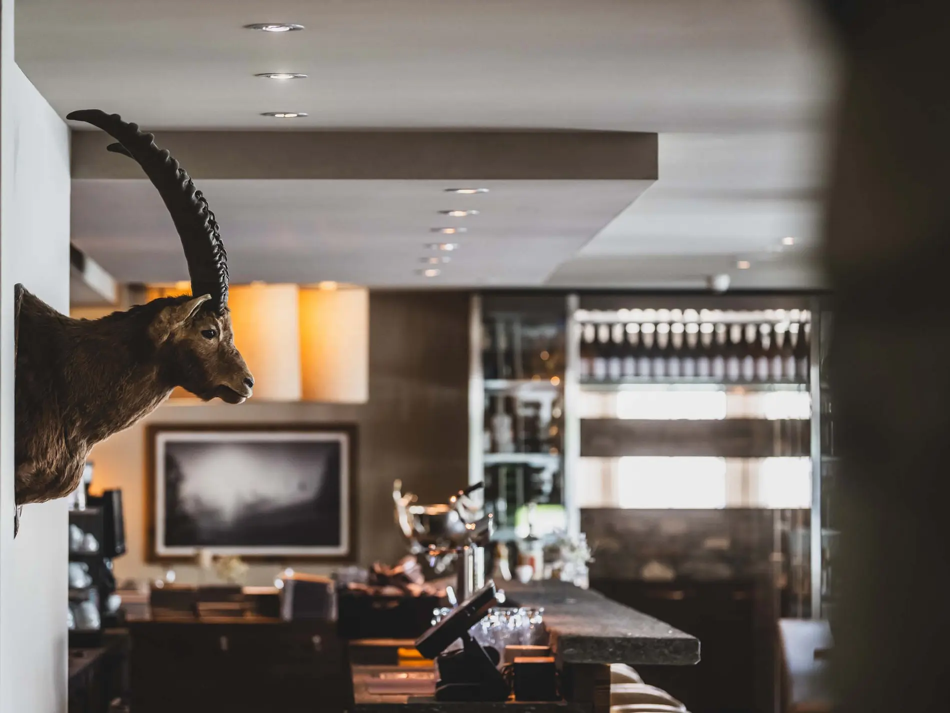 Kulinarische Vielfalt in unseren Restaurants in Brigels Geweih eines Steinbocks in einer modernen Bar mit gedämpfter Beleuchtung