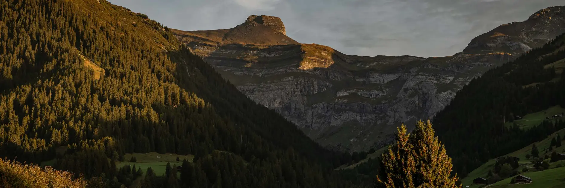 Discover the most beautiful photo spots Mountain landscape with fir trees, green valley, and church at sunset