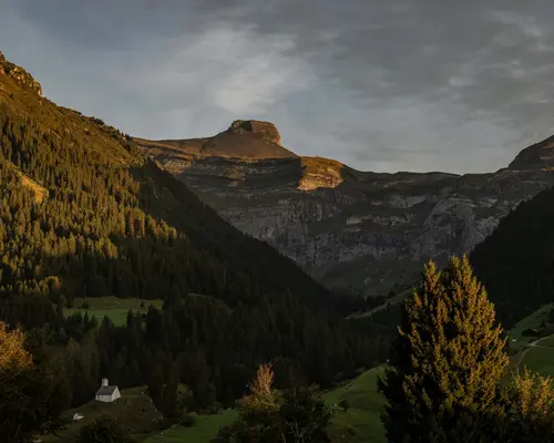 Mountain landscape with fir trees, green valley, and church at sunset