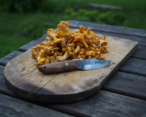Frische und Frühling für Körper und Kopf Pfifferlinge und ein Messer auf einem Holzbrett im Freien