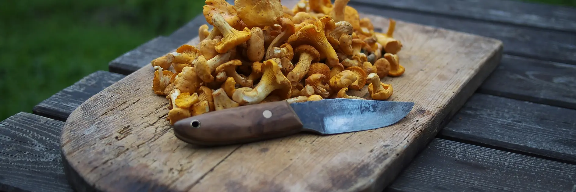 Kulinarischer Herbst im La Val Pfifferlinge und ein Messer auf einem Holzbrett im Freien