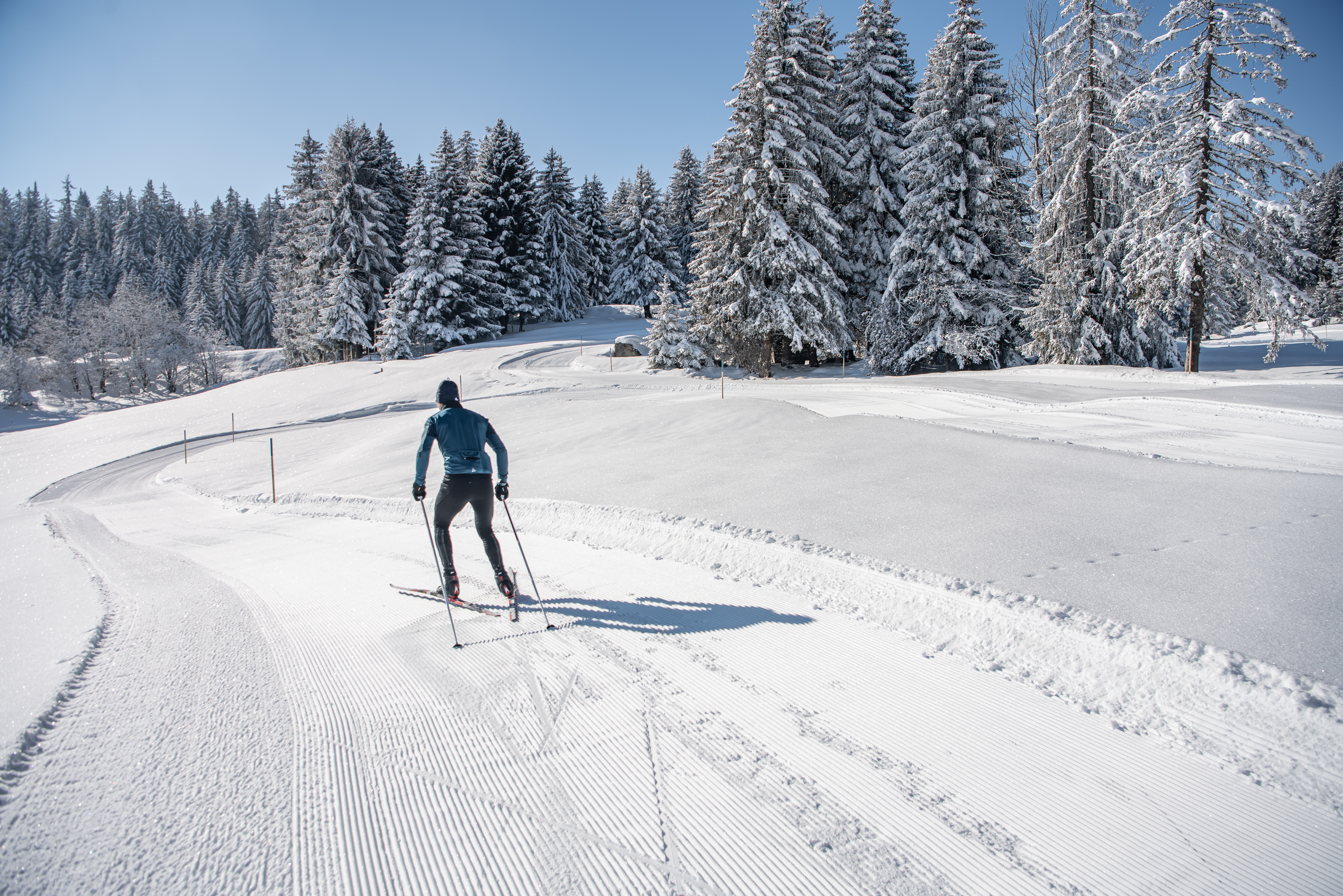 Langläufer auf präparierter Spur im verschneiten Wald bei klarem Himmel